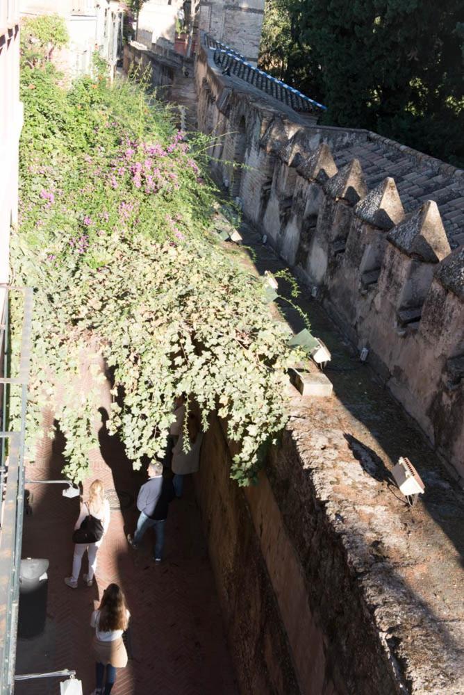 Apartamento Casa Callejon Del Agua Sewilla Zewnętrze zdjęcie