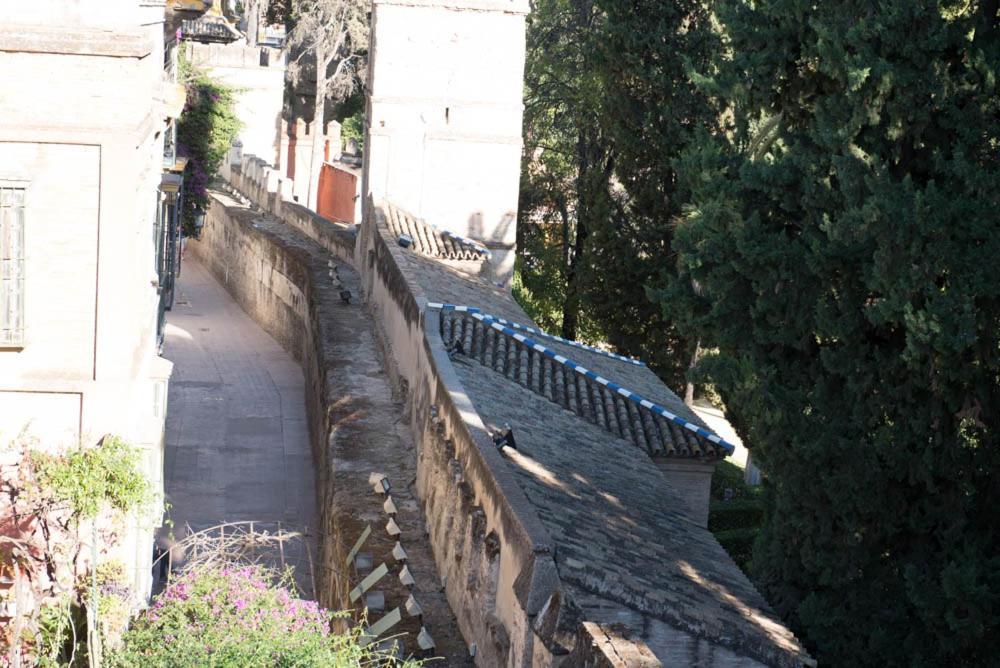Apartamento Casa Callejon Del Agua Sewilla Zewnętrze zdjęcie